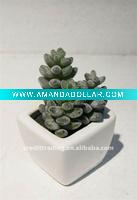 lovely artificial plant