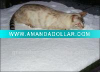 Wholesale Smooth polymer snow--enjoy it with your pets!