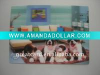 Wholesale PET Animal 3D Decorative Painting