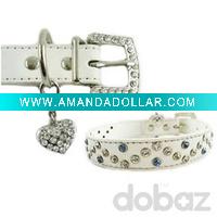 Wholesale pet products--pet leash&collar
