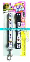 dog collar and leash