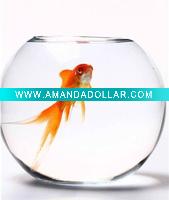 Wholesale clear big bowl shape fish tank for fish farm