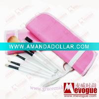 5PCS Professional makeup brush set