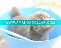 Wholesale 45L HDPE bucket.plastic garden bucket .Garden bucket.TUBTRUGS.IOUS BUCKET