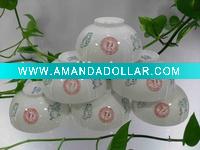 bone china bowl