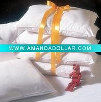 Pillow & pillow case