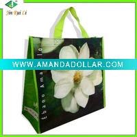 non-woven fabric bag for shopping(European standard )
