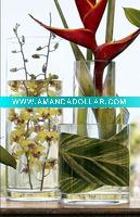 Clear Cylinder Table Glass Vase