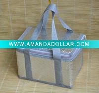 2012 mini cooler bag