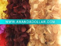 Turkey feather boa