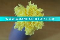 produce preserved carnation flower