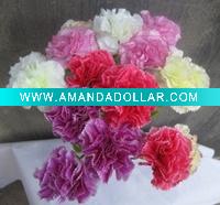 Carnation