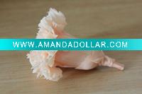 Wholesale top grade preserved rose and carnation with low price