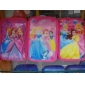 Wholesale School Supplies Stationery Gift Products Princess Single Layer Pencil Bag With Stationery