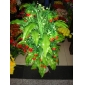 Wholesale 48 heads artificial cherry bush