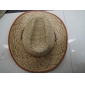 Wholesale New Model Casual CowBoy Raffia Hat