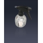 Wholesale Plastic garden sprinkling can, watering pot, good quality
