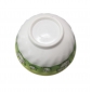 Cartoon Melamine Bowl