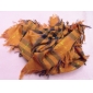 Wholesale Orange fashion gold thread unique plaid ruffled long shawl scarf