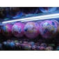 Wholesale 8.5 Inches Cartoon Design Inflatable Ball Great Gor Children's Fun