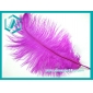Wholesale Beatiful Pink Ostrich Feather 30-35cm