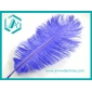Wholesale Elegant Blue Ostrich Feather for Party Decoration