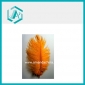 Wholesale Exquisite Orange Ostrich Feather for Holiday Decoration