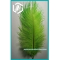 Wholesale New Green Ostrich Feather 14-16 Inches Long