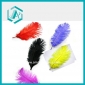 Wholesale Beatiful Ostrich Feather 22-24 Inches Long