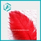 Wholesale New Red Ostrich Feather 40-45 cm/ 14-16"