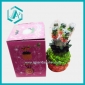 Pineapple Stainless Steel And Resin Fruit Fork, 5 In Color Box, Exclusive Packing