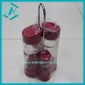 Wholesale Daily Use Glass Bottle And Plastic Cover Cruet Set, 4pcs Set