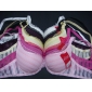 Wholesale Stripe Jacquard Weave Girl Bra, 3 Sizes And 5 Colours