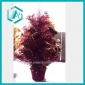 Wholesale 17.7" red artificial Christmas tree made in China for Christmas decoration