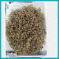 Popular Long Blonde Curly Afro Health Wig For Men Or Women