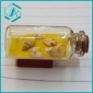 Cheap Brand new cheap small cute yellow sand bottles with special shells