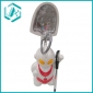 Wholesale Cool Ultraman portable flexible student reading desk lamp sunlight desk lamp LED light