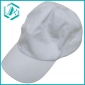 Wholesale 2010 fashion cotton baseball cap-6 panel, 100% heavy brushed