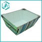 Wholesale 2010 New Elegant Striped colorful  PVC Fruit holder