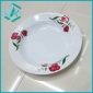 Classical Plastic Top Quality dish with Nice Different Printed/ serving trays