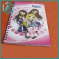 Wholesale hot sell promotional daily notebook