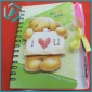 girls' favorite little pear daily notebook with a pen