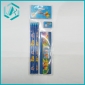 Wholesale 2010 new practical students' favorite daily pencil set