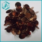 Wholesale Fashionable measle and paillette brooch