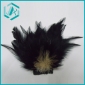 Wholesale Fashionable Cock Feather and Ribbon  Brooch