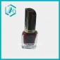 Wholesale fashion trend 10ml bottle colorful daily use nail polish