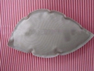 Common size silicone Reusable Fashion amanda's brand bra insert