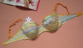 Wholesale 100% cotton women's stripes sexy padded bra in stock promotional lady's underwear