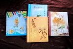 assorted colours craft paper cheap gift promotion baby photo album