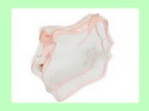 Wholesale PVC material transparent clear color cosmetic makeup bag